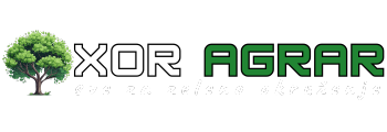 Klijent 4